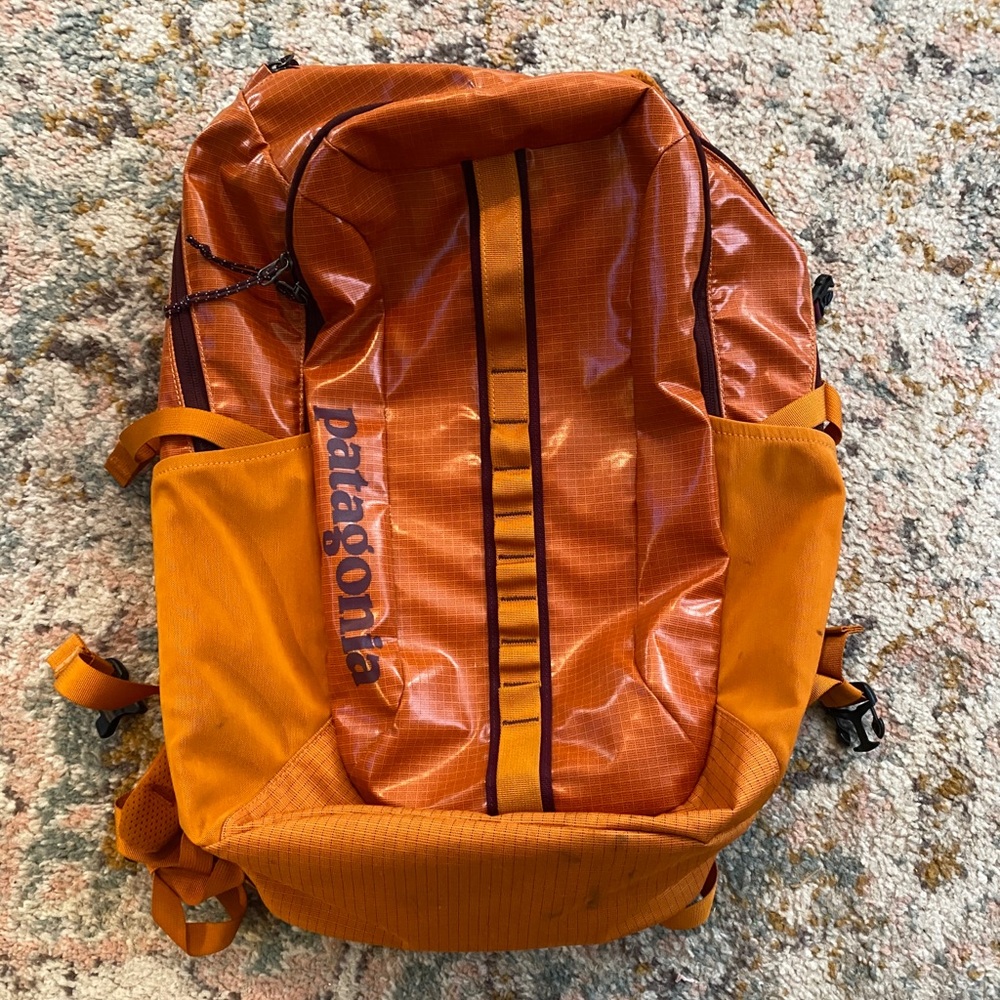 Patagonia Black Hole Backpack 25L